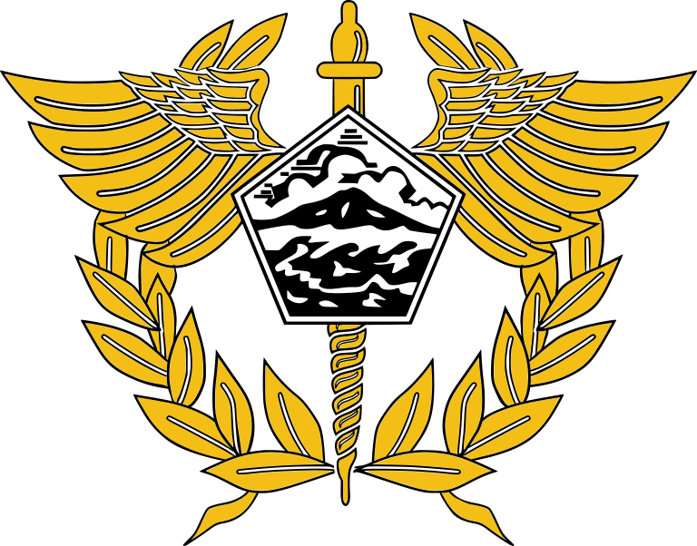 Directorate General of Customs and Excise