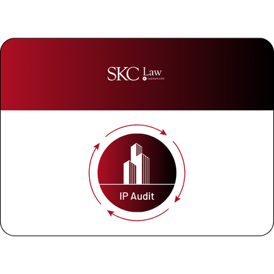 IP Audit for business