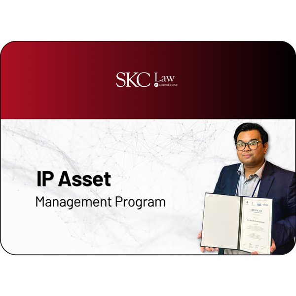 IP asset management program