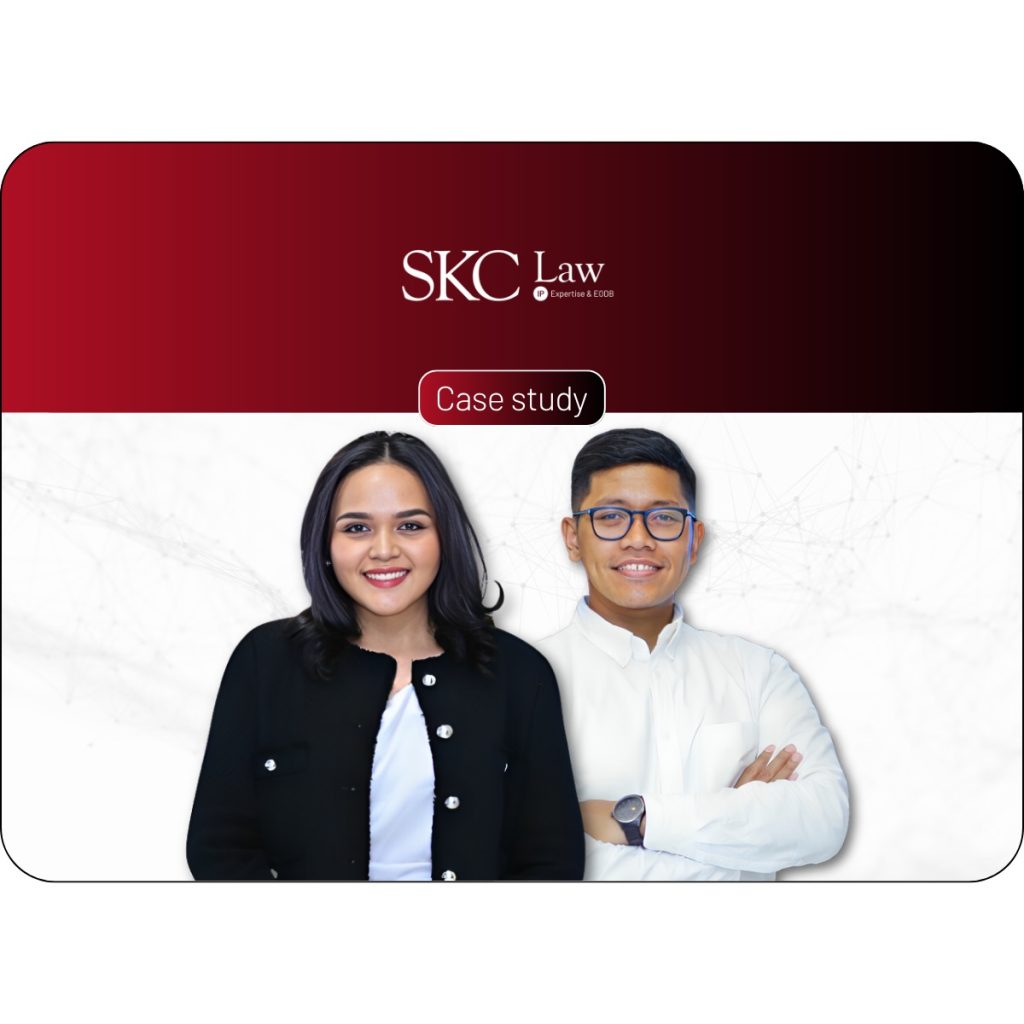 Domain name case study SKC Law