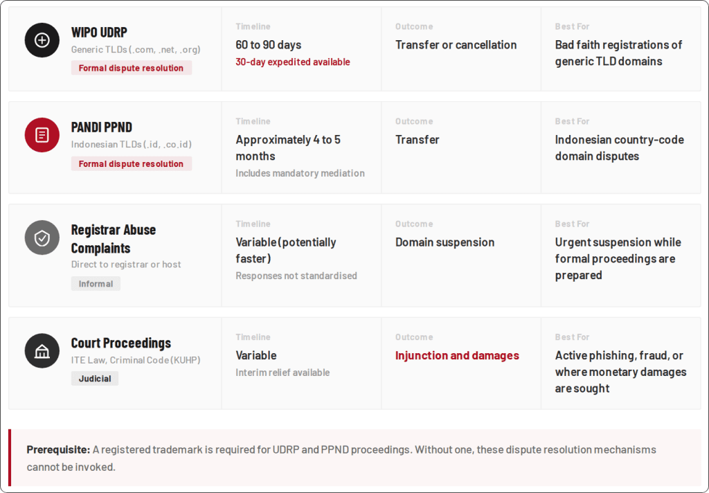 Domain Name Enforcement Options